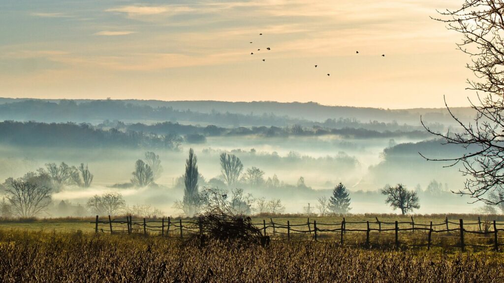 Sleepy hollow in a foggy haze