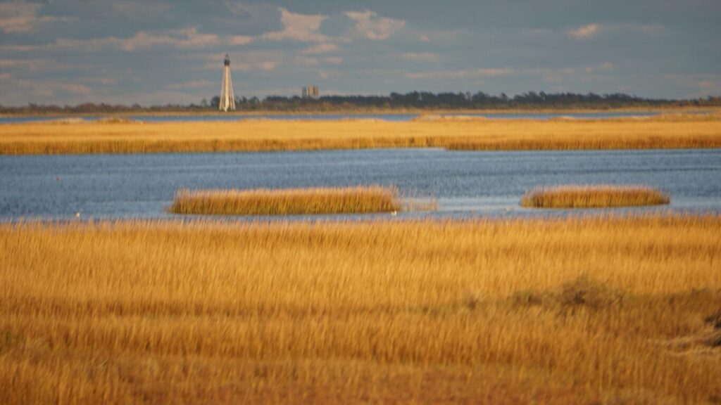Cape Charles Lighthouse Virginia Autumn Coastline - East Coast hidden gems