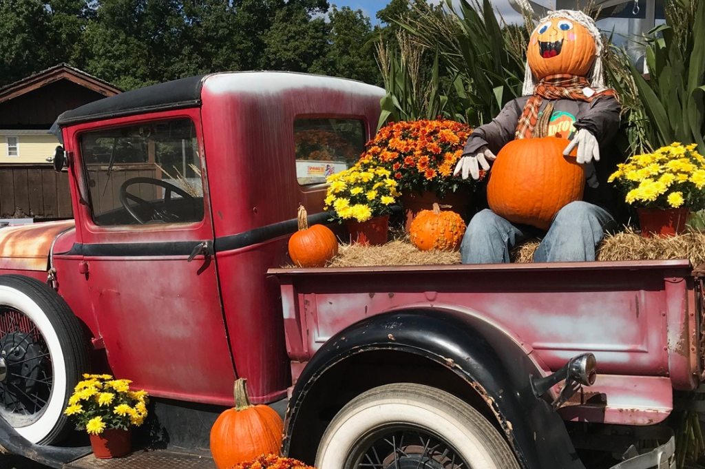Pumpkintown-USA-ct