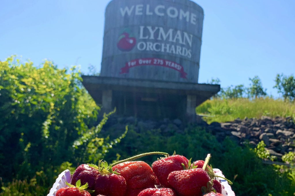 lyman-orchards-middlefield-ct
