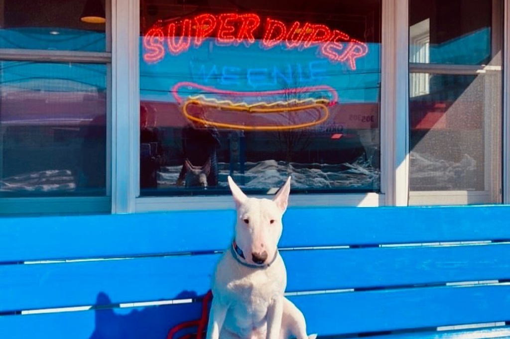 super-duper-weenie-fairfield-ct