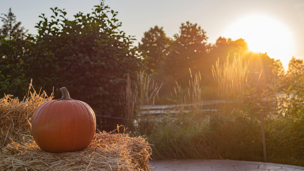 5 Reasons to Love September on the Coast