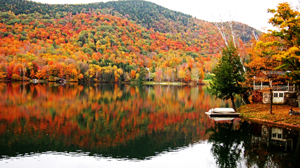 Leaf Peeping Road Trips: From Maine to Virginia