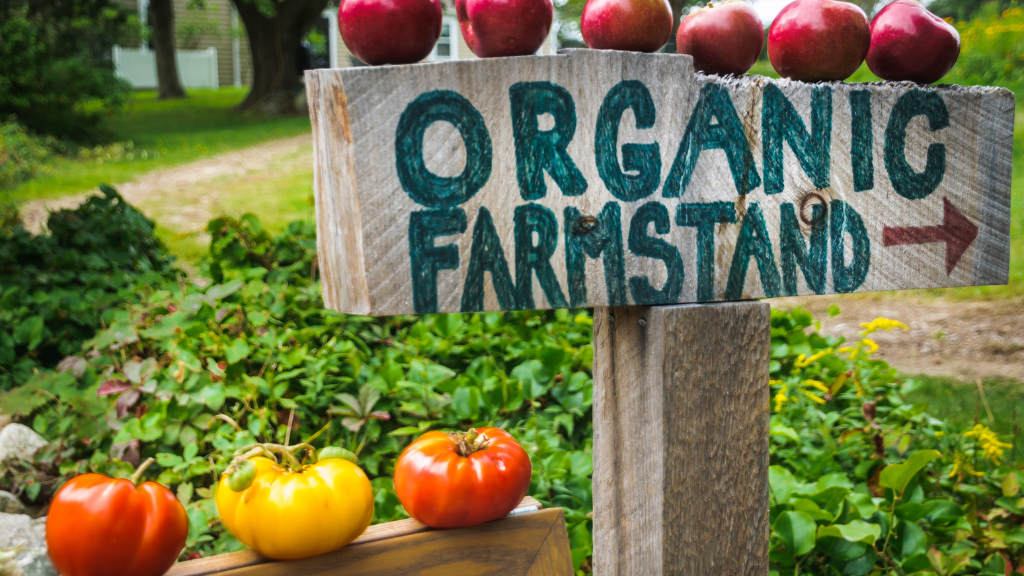 Road trip essentials - spring break packing tips field-notes-long-island-north-fork-farm-stands-lighthouses-and-wine