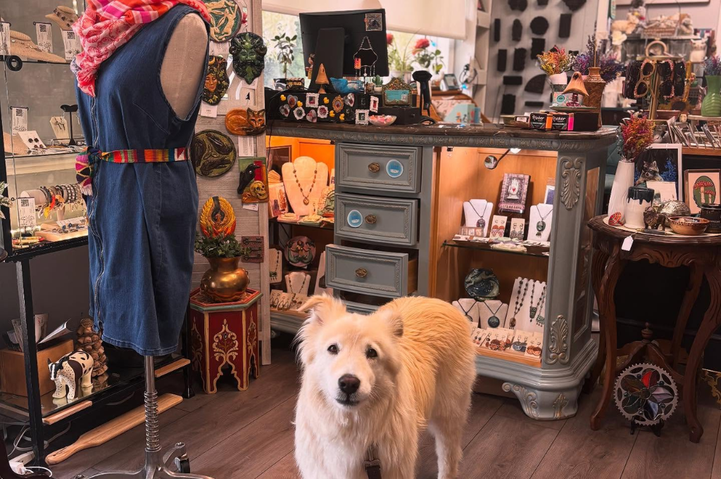 the-little-treasure-shoppe-newark-de