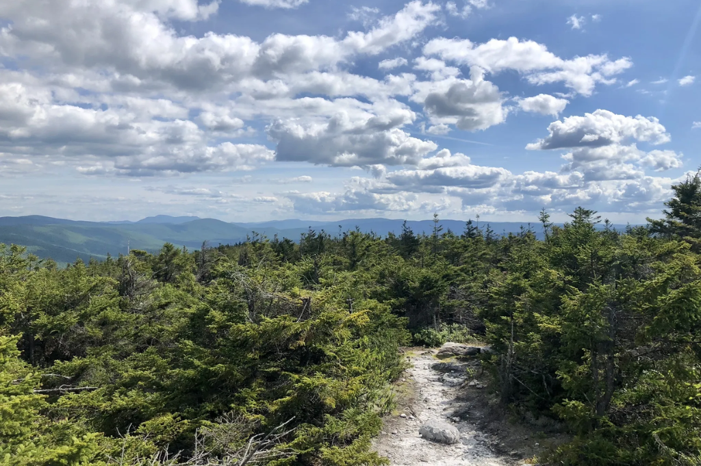 The Lost Girls of Glastenbury