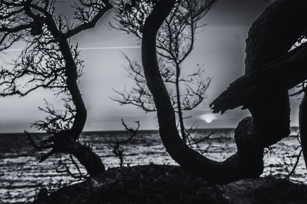 ocracoke-island-campfire-story