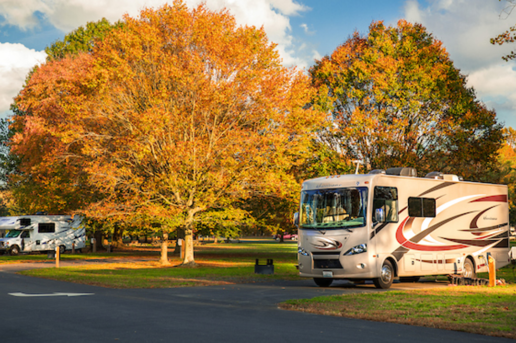 lums-pond-state-park-bear-de
