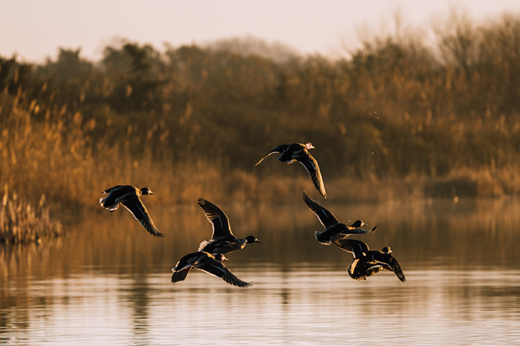 Cape May Point State Park – Cape May, NJ